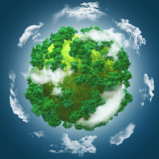 Eco-Friendly Practices