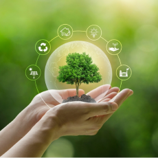 Responsible Sourcing